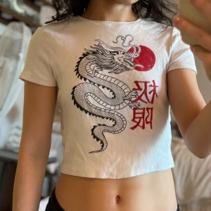graphic tee - fint skick