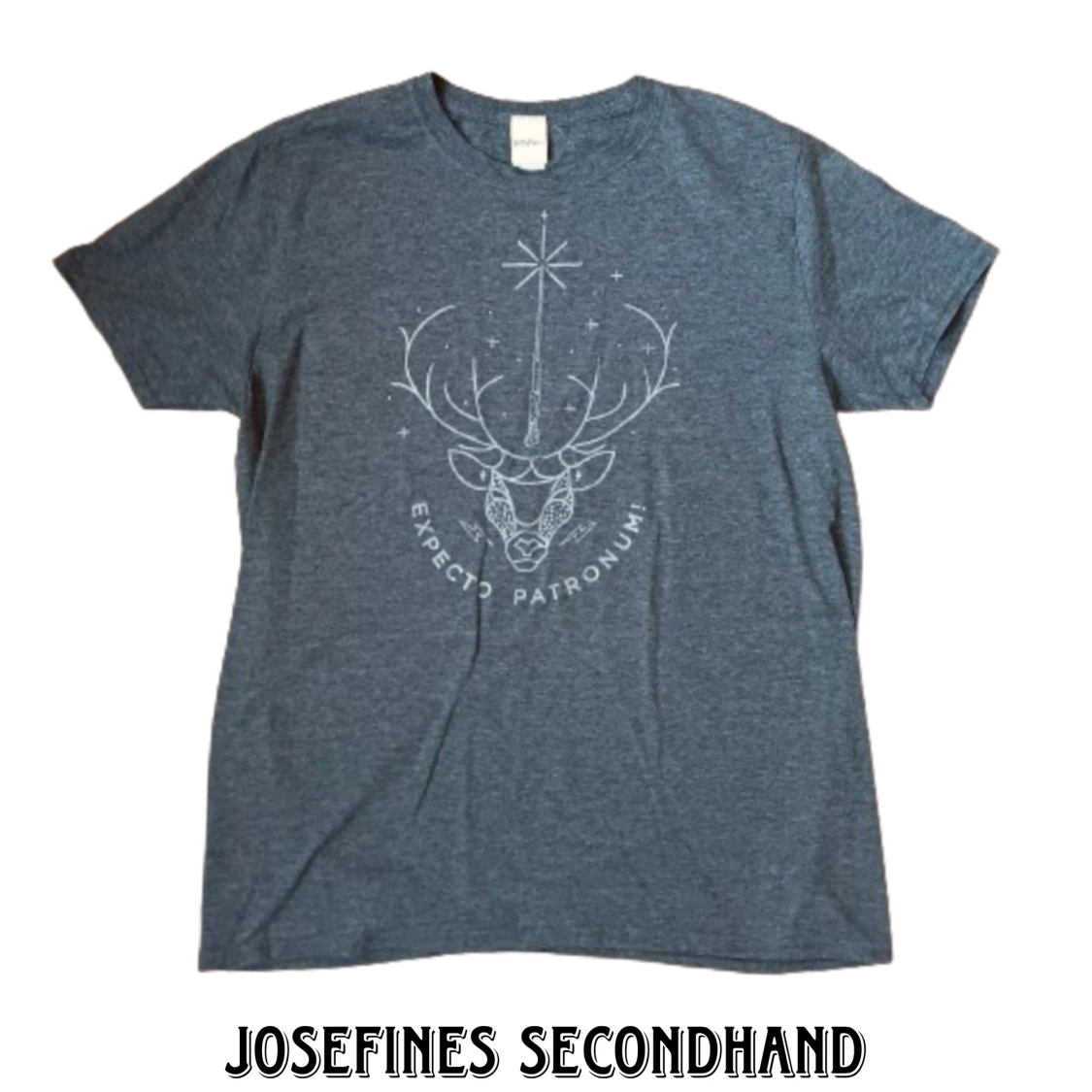 Grå Harry Potter tröja med silver tryck