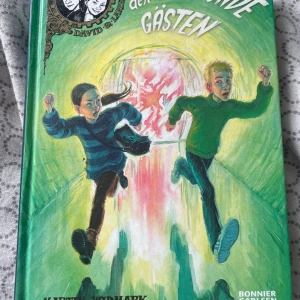 Den trettonde gästen Bok - En bok skriven av Martin Widmark. Med illustrationer av Katarina Strömgård. Otroligt bra serie för ungdomar. 