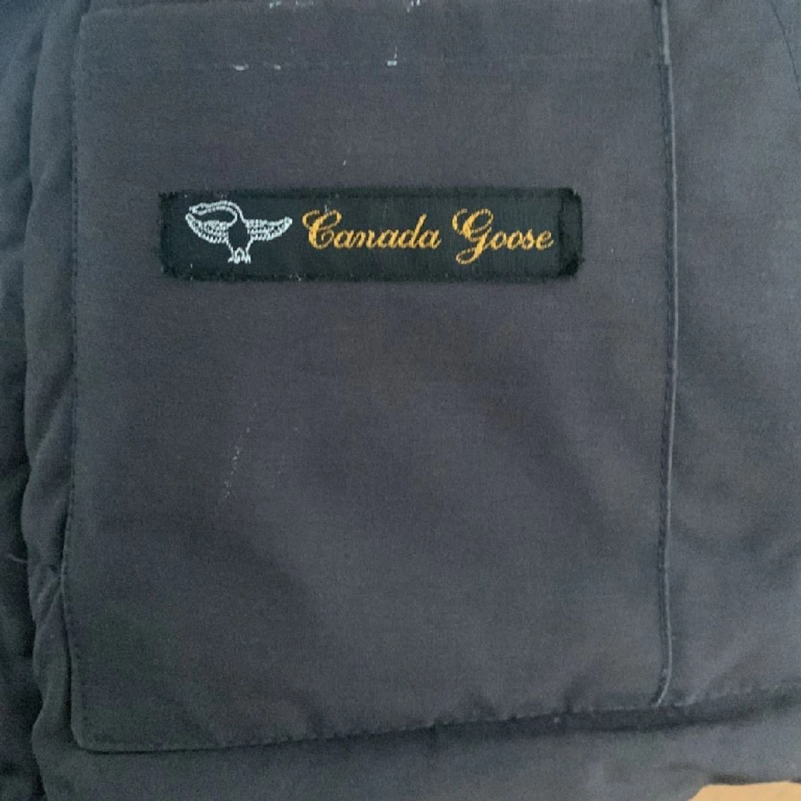 Canada goose väst  - 91