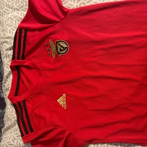 Fotbolls tröja  - Väldig bra skick där jag inte har andvänts allt några enstaka gånger (Benfica)