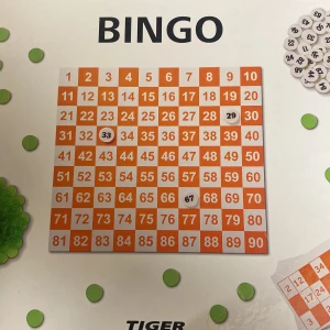 Bingo spel  - Använd men inget fattas av leken 