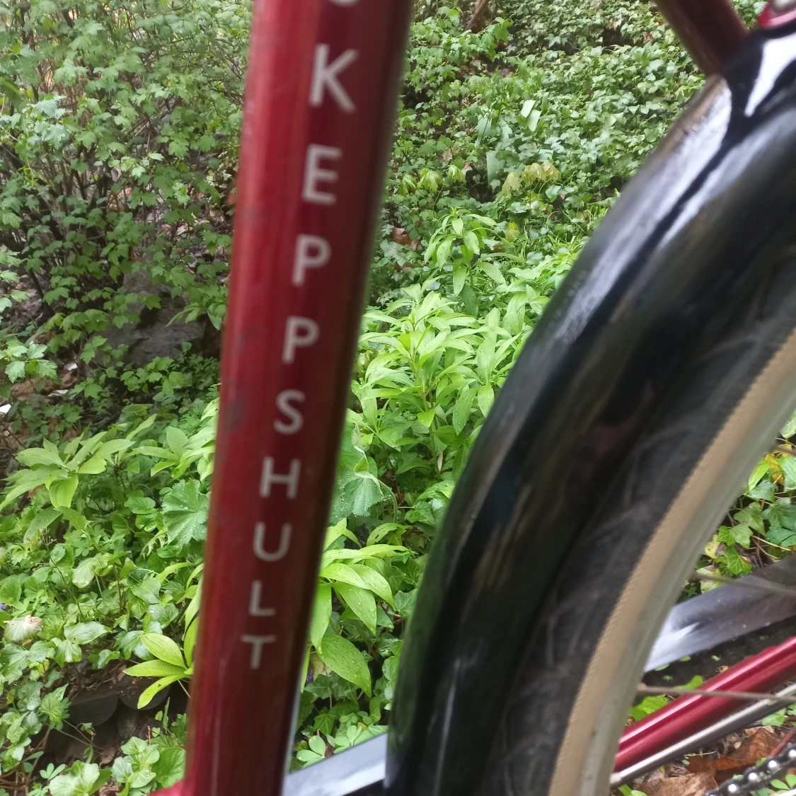 SKEPPSHULT NOVA - 92