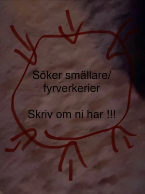 Moncler  - Moncler väst