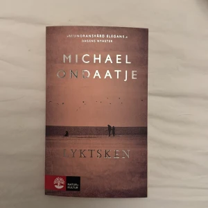 Lykt­sken - En bok med ett vackert och stämningsfullt omslag som lockar till läsning. Perfekt för dig som gillar eleganta och tankeväckande berättelser. Omslaget visar två personer i ett öppet landskap, vilket ger en känsla av äventyr och mystik.