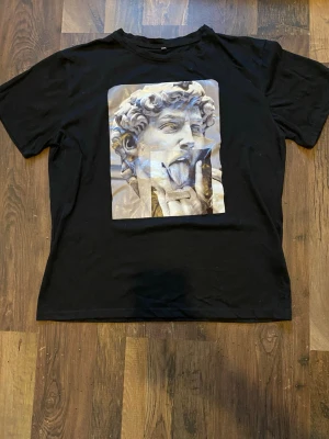 T-shirt med motiv - Köparen står för frakten!