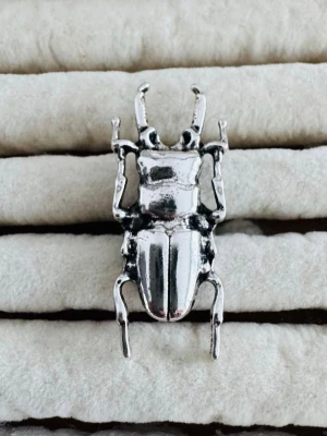 Silverfärgad ring  - En snygg ring i silverfärg . Perfekt för dig som gillar naturinspirerade accessoarer och vill sticka ut med något unikt.