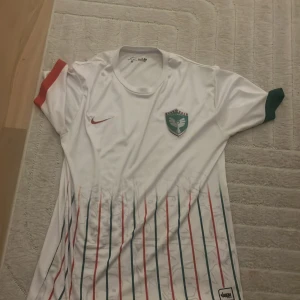 Vit Nike Amed SK fotbollströja - Snygg vit fotbollströja från Nike med Amed SK-logga på bröstet. Tröjan har korta ärmar, en röd Nike-swoosh och detaljer i grönt och rött på ärmsluten. Framsidan har tunna vertikala ränder i grönt och rött samt subtila ansikten i bakgrunden. Tillverkad i lätt och ventilerande polyester.