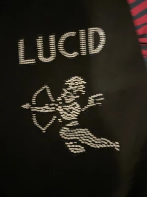 Bling lucid svart  - Svart hoodiejacka med dragkedja och huva, dekorerad med silvriga paljetter som bildar texten 'BLING' och 'LUCID' samt två coola motiv av en beväpnad ängel. Jackan har fickor framtill och en loose passform, perfekt för dig som gillar statement-plagg.