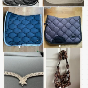 Fina hästsaker - Jätte fina hästsaker i nyskick, grimman, pannbandet och båda hoppschabraken är helt oanvända!!  Lila glittrigt equestrian Stockholm hoppschabrak. Strl full, Ny pris 1000kr mitt pris 600kr 💜  Blå/grönt Ps of Sweden dressyrschabrak. Strl Full, Ny pris 1000kr mitt pris 600kr💚🩵  Svart allround schabrak strl ponny. Ny pris 500kr mitt pris 250kr.🖤  Vitt hoppschabrak med glitter detaljer. Strl Full, Ny pris 800 mitt pris 400🤍  Leopard grimma strl Cob. Ny pris 200kr, mitt pris 100kr🤎🖤  