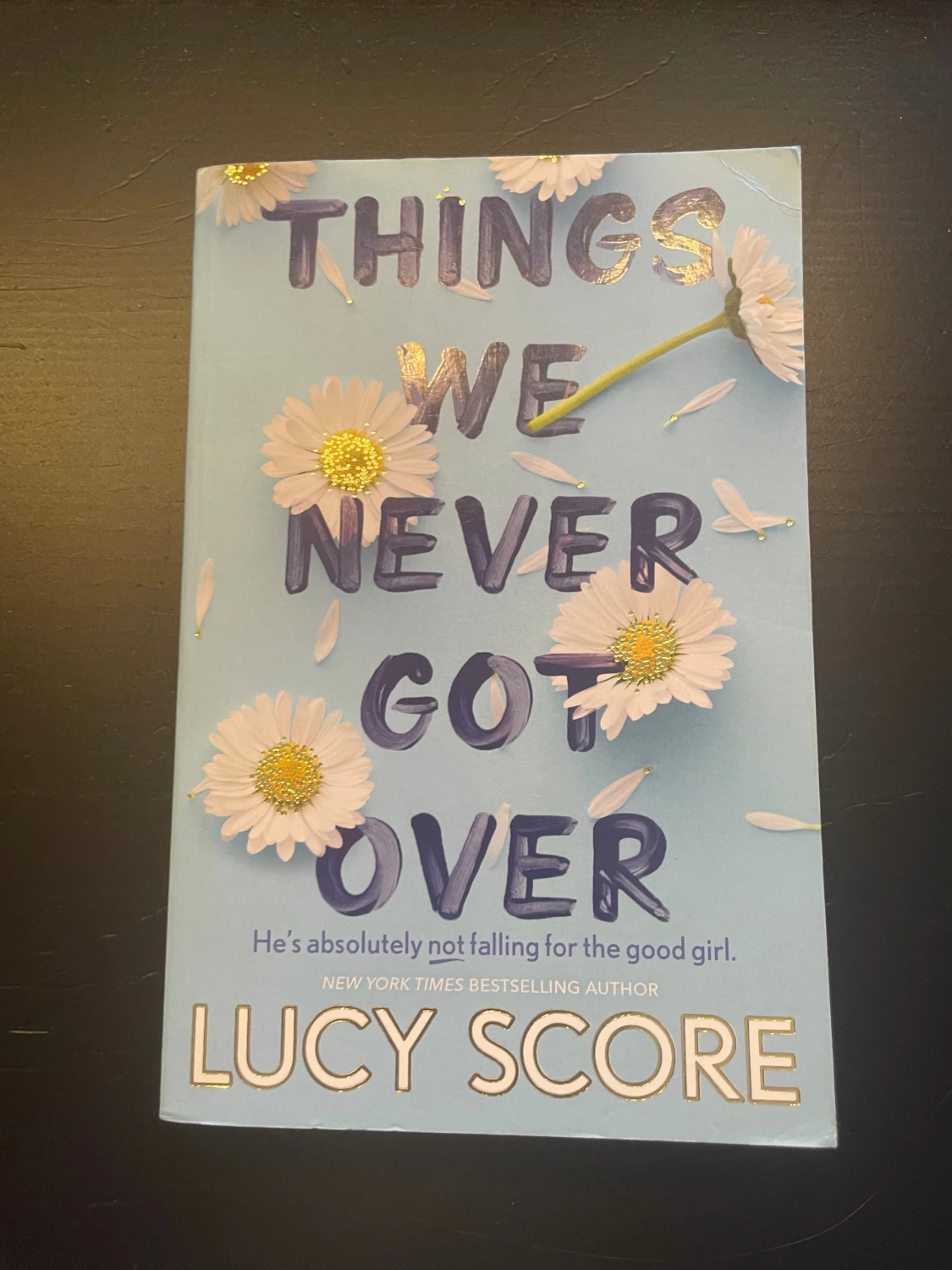 Things We Never Got Over av Lucy score