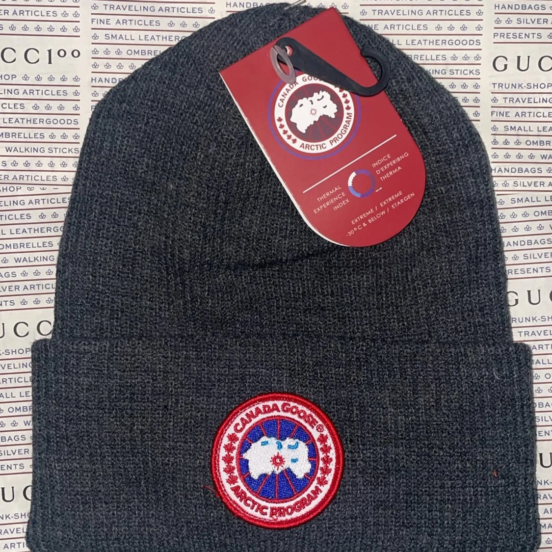 Canada goose vintermössa
