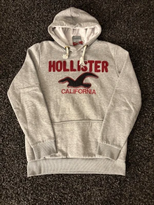 Hoodie ifrån Hollsiter (sällsynt) - Säljer nu denna sjukt eftertraktade hoodie  från hollister. Skick 8/10, sjukt snygg och passar perfekt nu till hösten. Obs kan gå ner i pris vid snabb affär!
