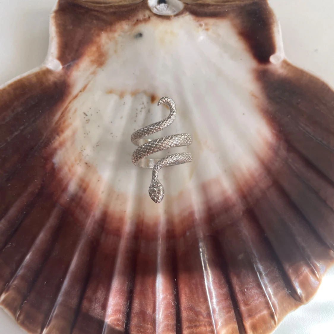 Silvrig ormring  - 1