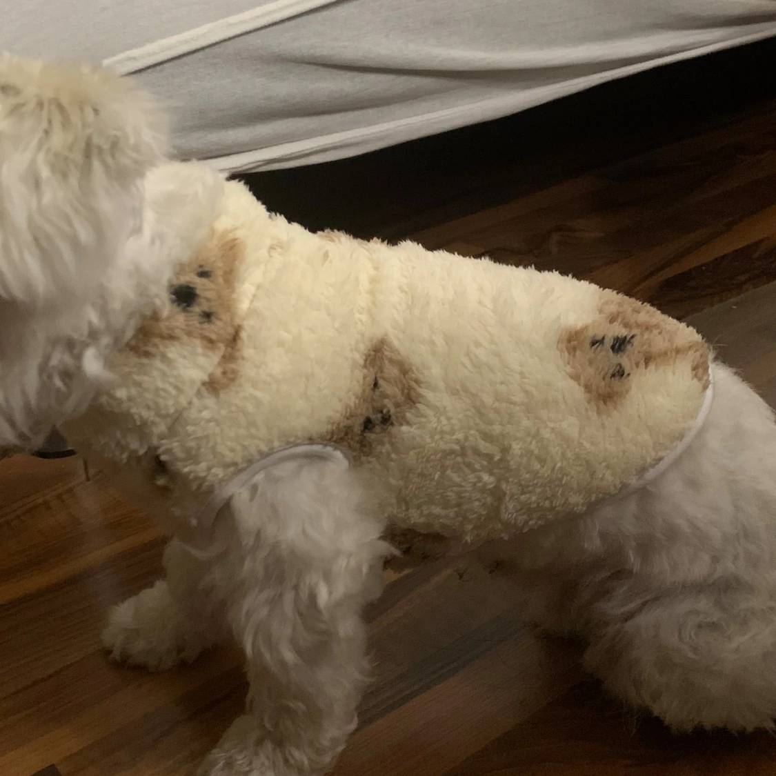 Hund väst/kofta nallebjörn - 1