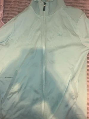 Boss zip  - Jag säljer min boss  diptröja för bra pris väldigt biligt för den har blivit för liten för mig 