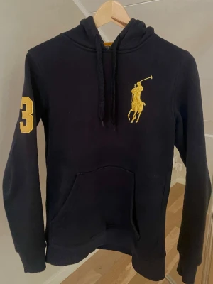 Ralph Lauren Big Pony Hoodie - Eftertraktad Ralph Lauren Hoodie i unik colorway | Skick: 9/10 | Passform på 3:e bilden (Modellen är 183cm/69kg | Pris: 599kr | Skriv vid intresse!