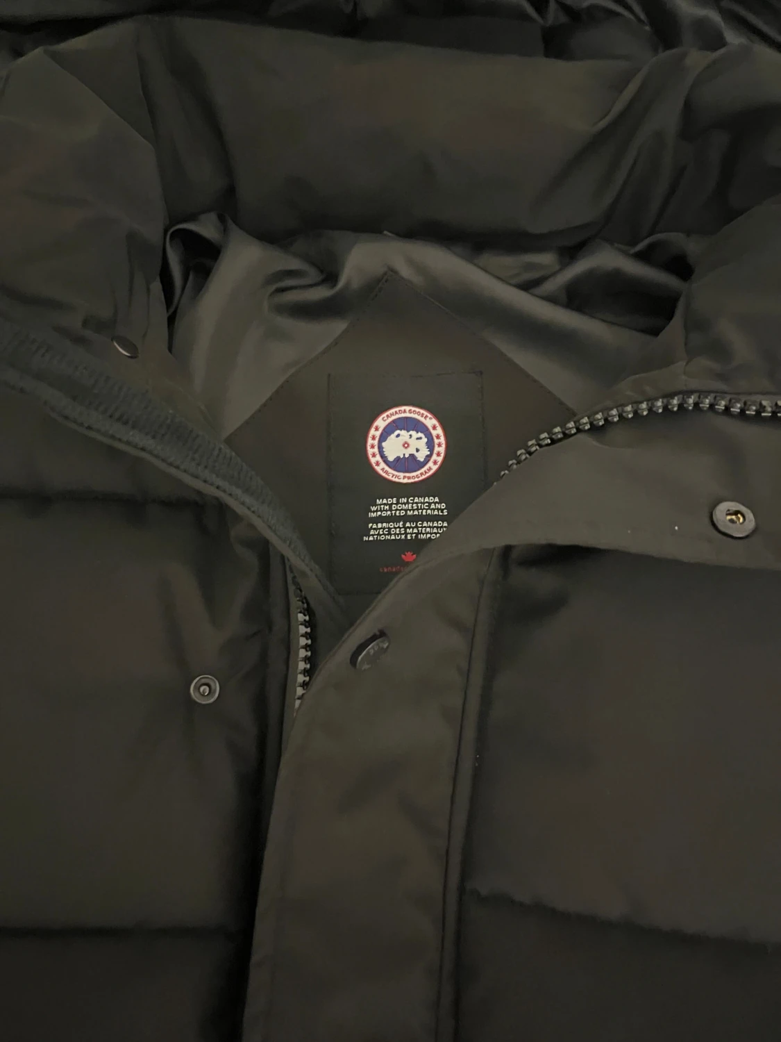 Canada Goose - 2