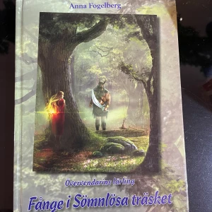 Fånge i Sömnlösa träsket - Upptäck en magisk värld där Majra hamnar på en mystisk stig genom ett farligt träsk. Med spännande äventyr, magi och oväntade möten är detta en fantasybok som passar dig som gillar mystik och episka berättelser. Perfekt för unga vuxna som vill försvinna in i en annan verklighet.