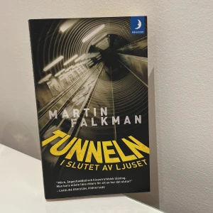 Tunneln i slutet av ljuset - En psykologisk thriller om ångest, ensamhet och lusten att dö. Huvudpersonen söker en mordoffert på nätet och dras in i ett mörkt spel om liv och död. Perfekt för dig som gillar spänning, oväntade vändningar och att utforska samhällets mörka sidor.
