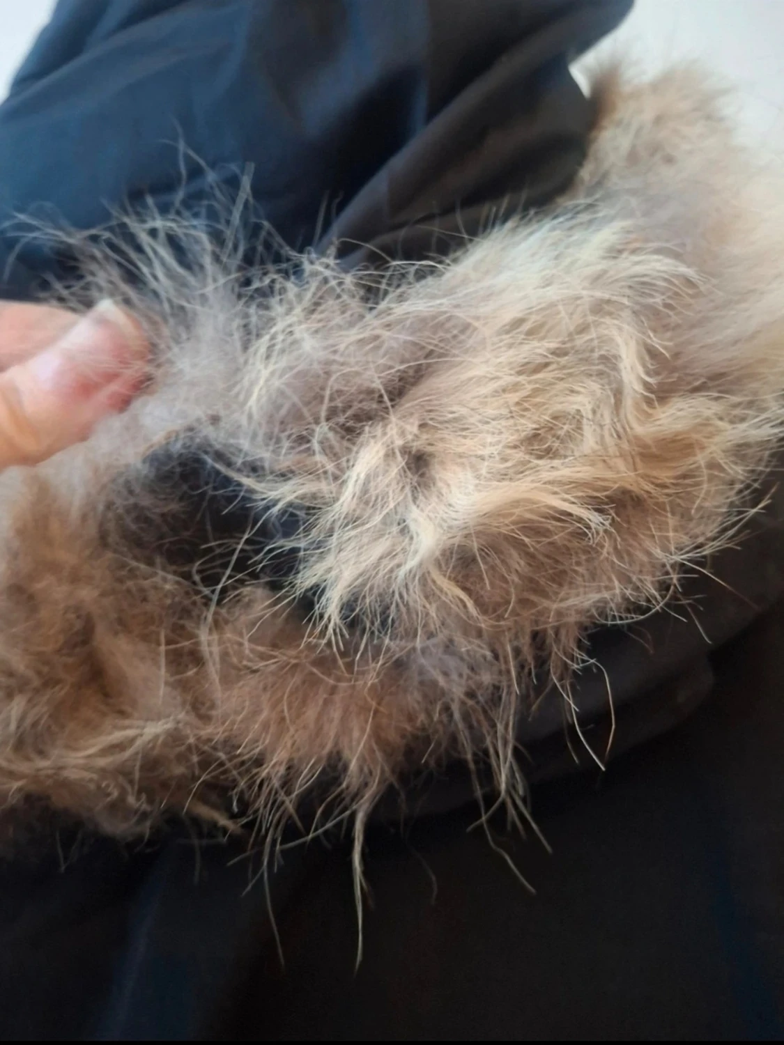 Canada goose jacka - 5