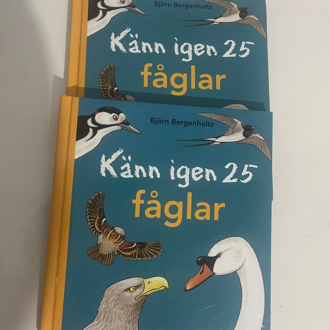 Känn igen 25 fåglar