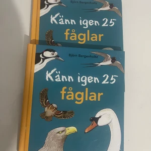 Känn igen 25 fåglar - Upptäck och lär dig känna igen 25 olika fåglar! Perfekt för unga naturälskare som vill utforska fågellivet på ett enkelt och roligt sätt. Fylld med färgglada illustrationer och spännande fakta om fåglar du kan hitta i naturen. 2 st