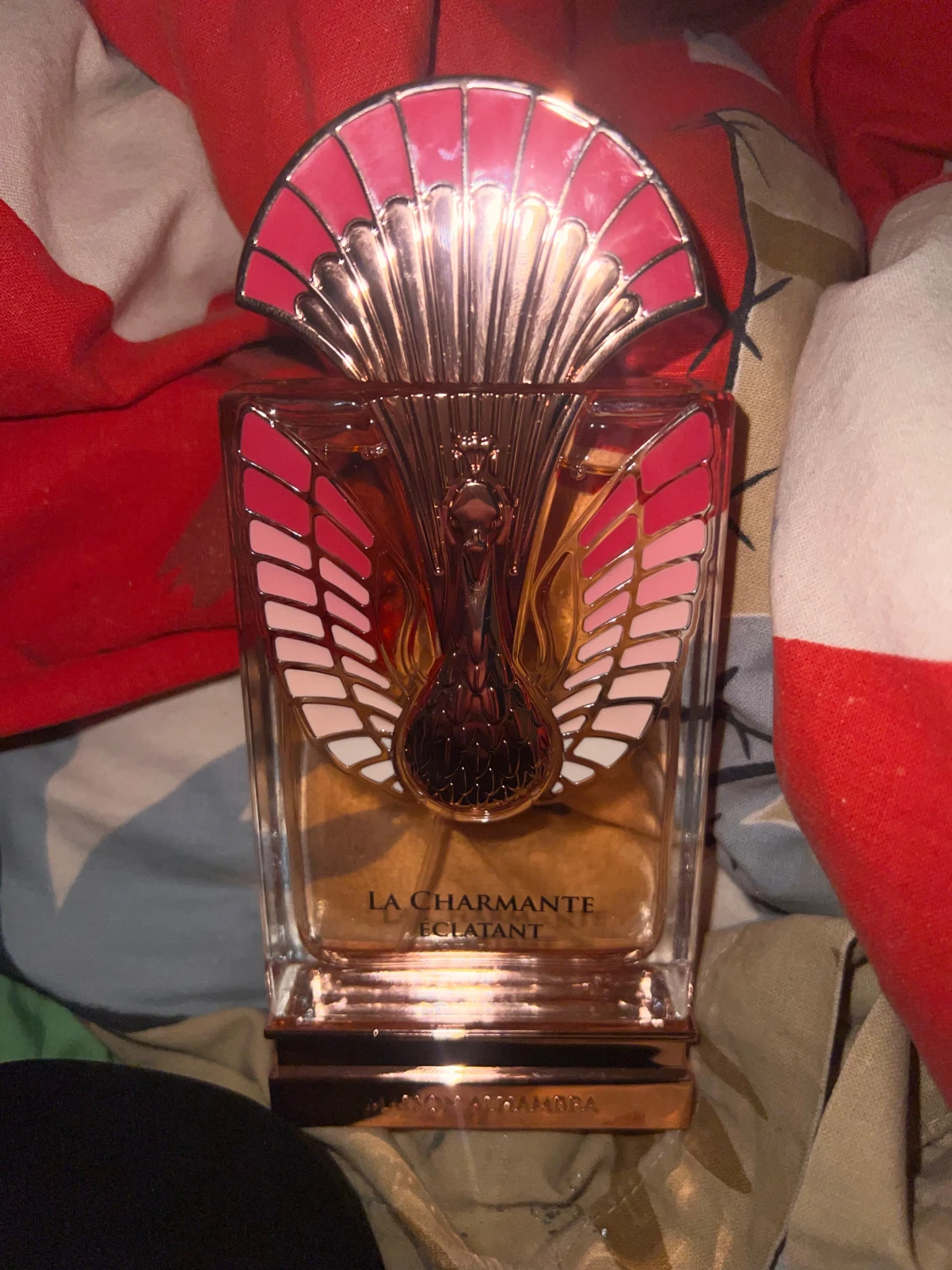 La charmante Eclatant - 2