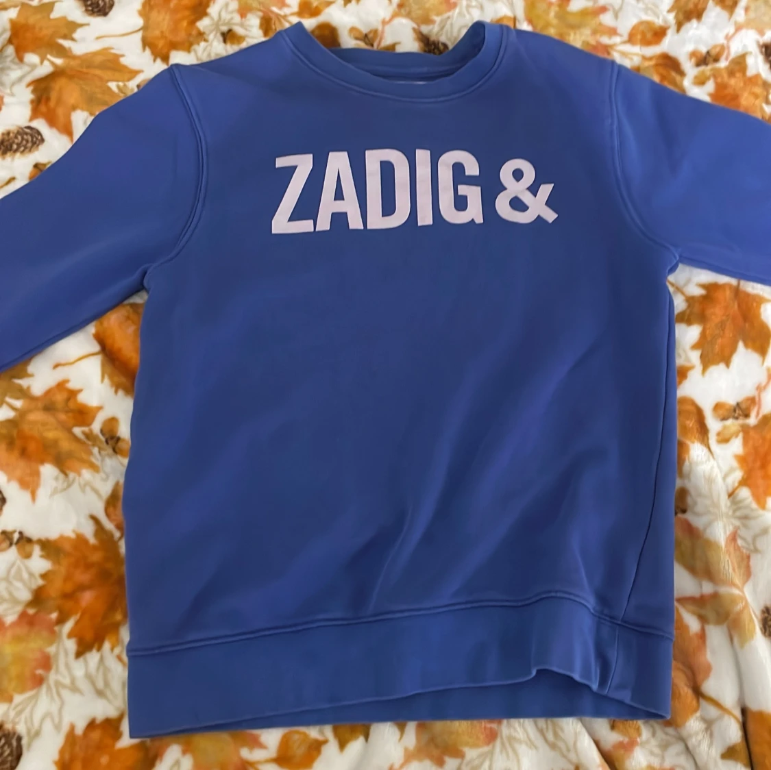 Blå sweatshirt från Zadig & Voltaire