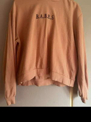 Rosa hoodie med B.A.B.E.S tryck - Säljer en ljusrosa hoodie med svart B.A.B.E.S tryck på bröstet. Hoodien har huva, ribbade muddar vid ärmslut och nederkant samt en avslappnad passform. Perfekt för dig som gillar en enkel men snygg stil. Finns mindre fläckar på insidan av hoodien! Annars fint skick! Öppen för rimliga prisförslag!🌷Passa på att spana in mina andra plagg!🤗