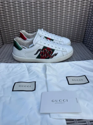 Gucci Ace Snake - Gucci Ace Snake || Storlek EU 41 UK 7 || Skorna är i  bra skick (se bilder) || Allt på bilderna medföljer vid köp || Tveka inte på att höra av dig vid frågor eller funderingar 