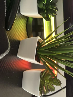 Planter  - Tre konstgjorda suckulenter i vita fyrkantiga krukor. Växterna har olika former och nyanser av grönt, och krukorna är gjorda av slät keramik. Perfekt som dekoration till skrivbord eller hylla för en fräsch vibe.