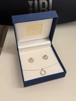 Smyckeset i silver från Hallbergs Guld - Elegant smyckeset från Hallbergs Guld med matchande örhängen och halsband i silverfärg. Aldrig använt.