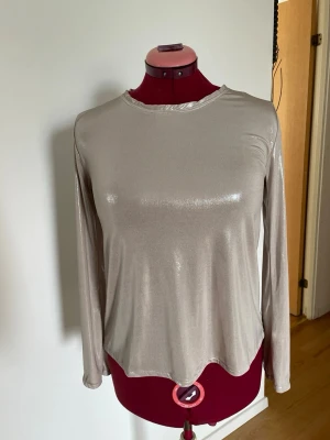 Glittrig silver långärmad topp - Snygg långärmad topp i glittrigt silvermaterial. Toppen har en figurnära passform och är tillverkad i ett stretchigt syntetmaterial som ger en cool metallic-look. Perfekt för dig som vill sticka ut lite extra.