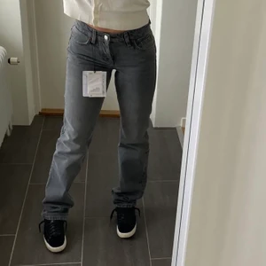 raka gråa jeans  - HELT OANVÄNDA gråa lågmidjade jeans från zara i storlek 34💗 väldigt eftertraktade!! skriv om du vill ha fler bilder! BUDA privat, startbud: 400kr! priset är exklusive frakt💘 (första bilden lånad) BUD JUST NU: 750kr (budgivning avslutas IDAG (26/2) 23:00) (SKRIV OM DU VILL BYTA MOT ETT PAR 36) 