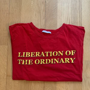 Zara t-shirt - Tshirt från Zara, använd men fortfarande i bra skick. Storlek M. Frakt inkluderat!