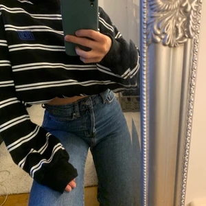 Randig sweatshirt  - Superskön croppad sweatshirt från junkyard. Använd fåtal gånger, som ny! 
