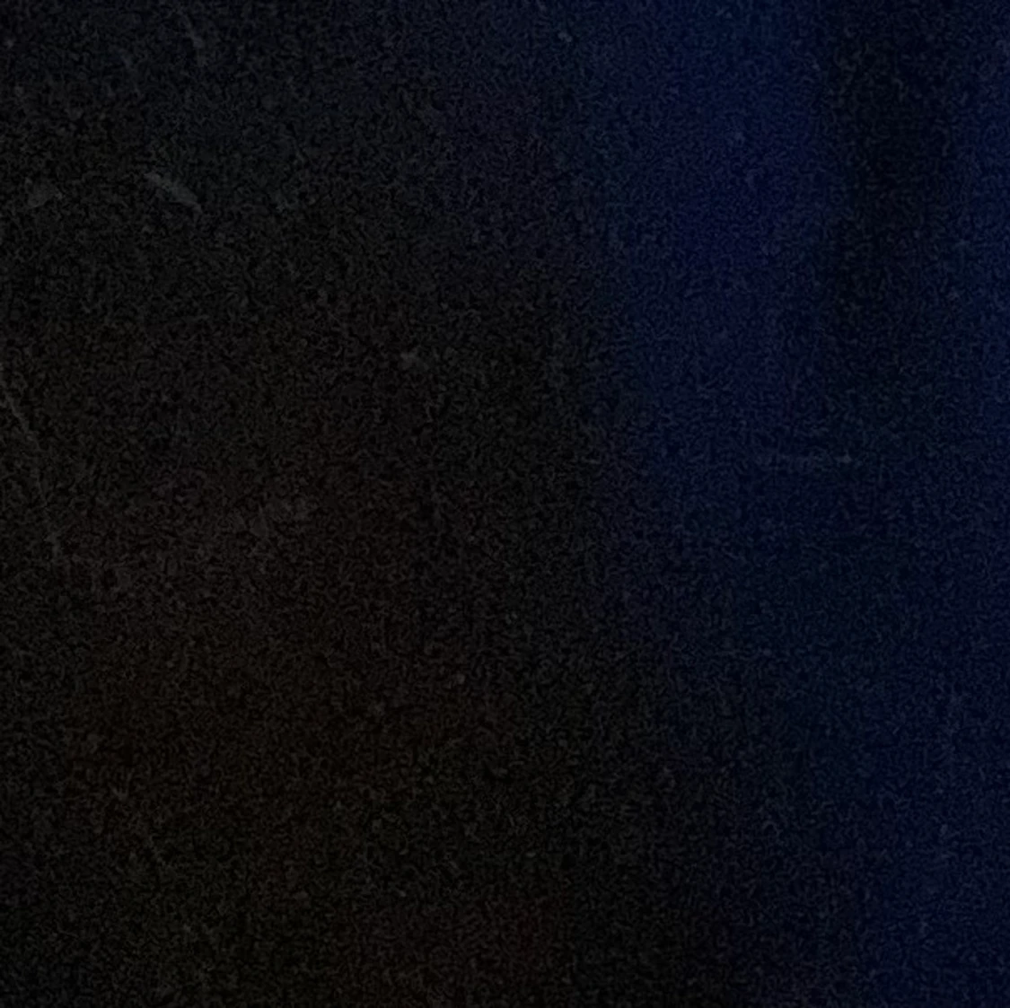 Svart dickies hoodie  - 91