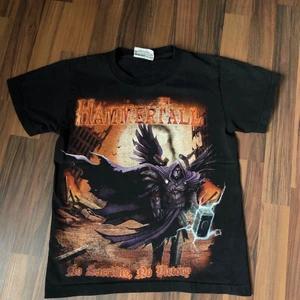Vintage band t-shirt, Hammerfall - Hammerfall t-shirt. Storlek S men är liten i storlek. Frakt på 45kr tillkommer