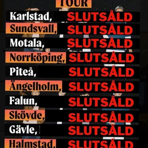 Biljett till bolaget Halmstad  - Säljer min biljett till bolaget när dem spelar i Halmstad 26/11 av anledning att jag jobbar och kan ej gå. 