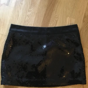 Svart paljett minikjol storlek 36 - Super snygg mini kjol med paljetter med dragkedja på sidan av kjolen. Storlek 36. Oanvänd:) 