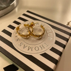 Örhängen  - Helt nya örhängen från safira, originalpris 500kr! Frakten ingår i priset🤍