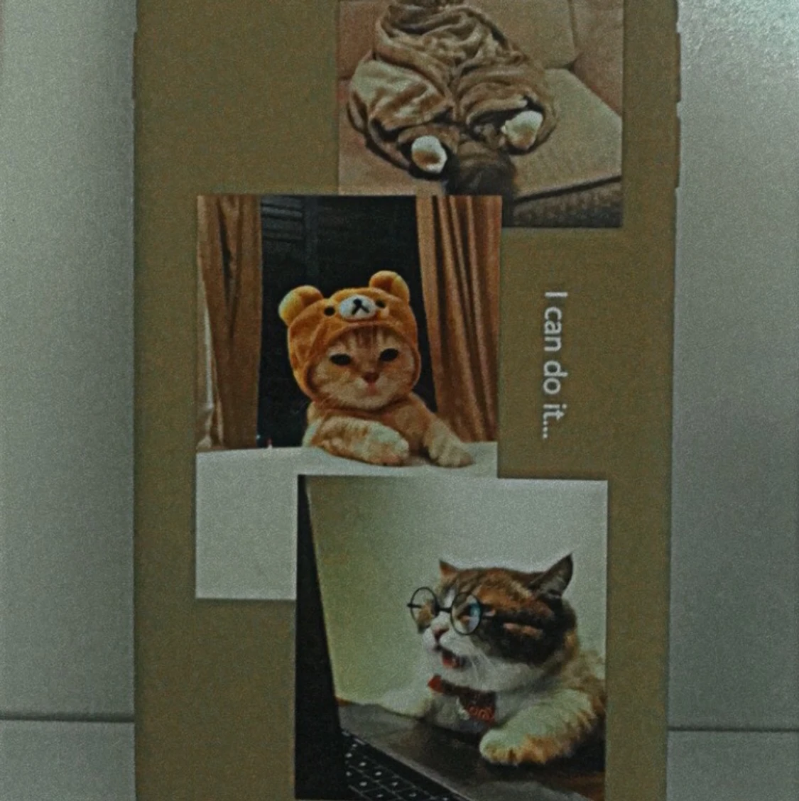 Iphone 7+/8+ phone case