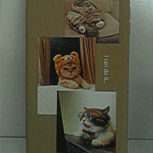 Iphone 7+/8+ phone case - This phone case was meant to be for a friend but i orderd the wrong size and i dont really need it so this case is not used and new costs only 30kr