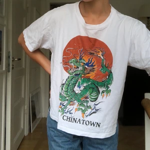 T-shirt  - T-shirt med tryck från Brandy Melville!🐉🐲 one size! Säljer pga använder ej längre 