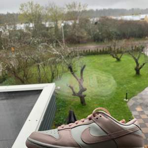 Tjena, säljer dessa Nike Dunk Lows i ”Orange Pearl” färgen. Oanvända och är i storlek 40