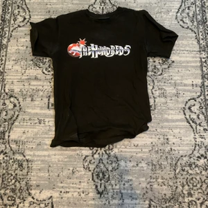 The Hundres tröja - Svart The Hundreds tröja med tryck på framsidan. Köpt på junkyard för ett drygt år sedan. 💣🖇