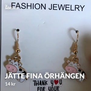 Örhängen  - Jätte fina örhängen 
