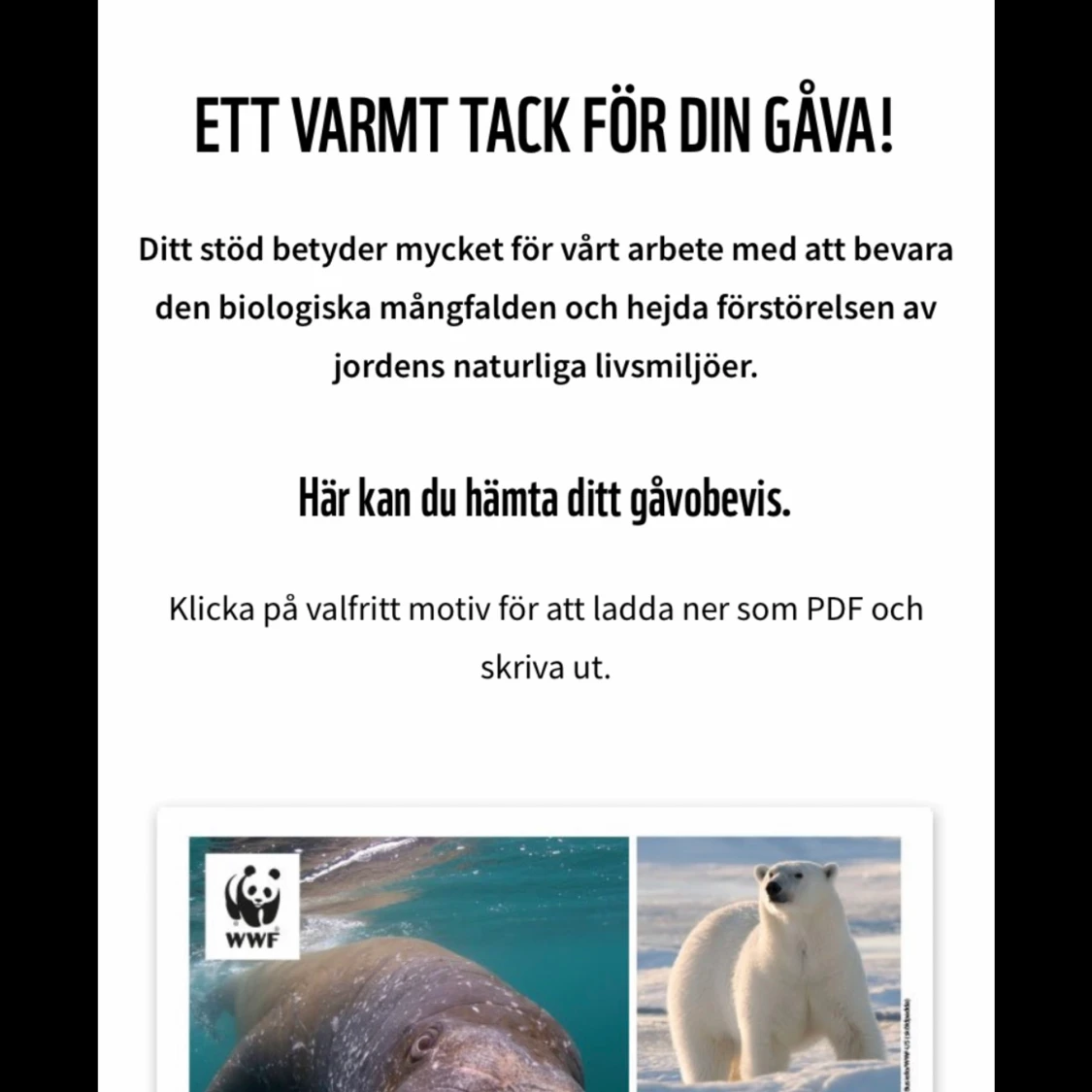 Tygkassar med coolt tryck 