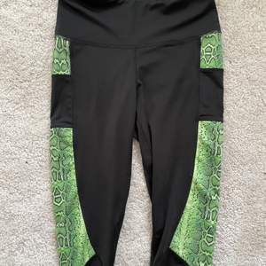 Panos Emporio Seamless tights | Plick 